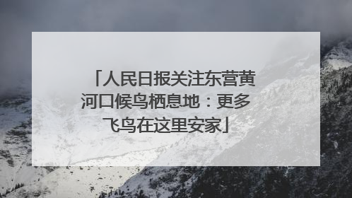 人民日报关注东营黄河口候鸟栖息地：更多飞鸟在这里安家