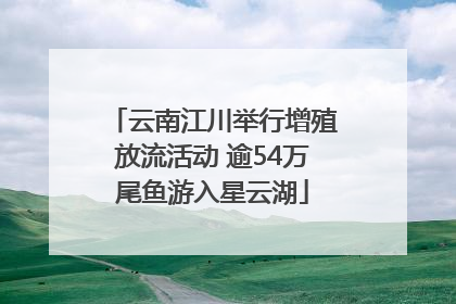 云南江川举行增殖放流活动 逾54万尾鱼游入星云湖