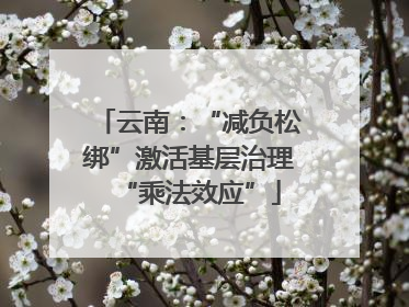 云南：“减负松绑”激活基层治理“乘法效应”