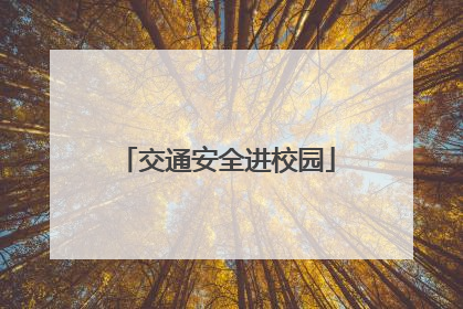 交通安全进校园
