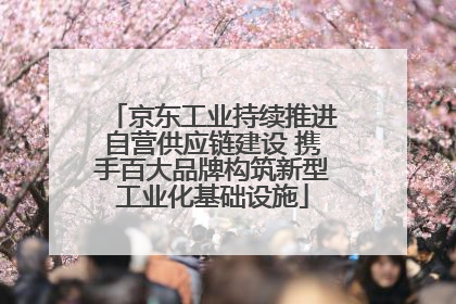 京东工业持续推进自营供应链建设 携手百大品牌构筑新型工业化基础设施