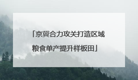 京冀合力攻关打造区域粮食单产提升样板田