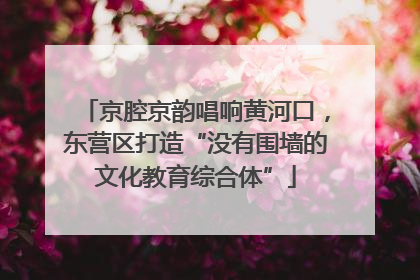 京腔京韵唱响黄河口，东营区打造“没有围墙的文化教育综合体”