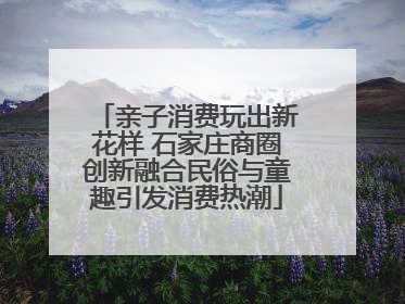 亲子消费玩出新花样 石家庄商圈创新融合民俗与童趣引发消费热潮