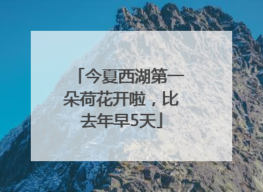 今夏西湖第一朵荷花开啦，比去年早5天