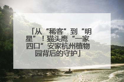 从“稀客”到“明星”！猫头鹰“一家四口”安家杭州植物园背后的守护