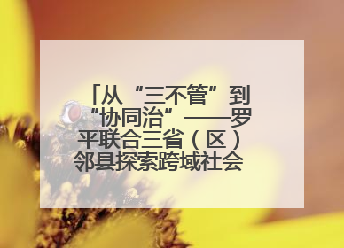 从“三不管”到“协同治”——罗平联合三省（区）邻县探索跨域社会治理新模式