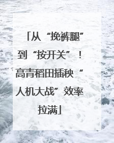 从“挽裤腿”到“按开关”！高青稻田插秧“人机大战”效率拉满