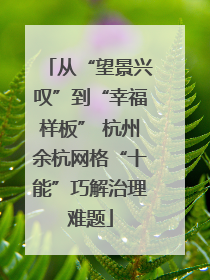从“望景兴叹”到“幸福样板” 杭州余杭网格“十能”巧解治理难题
