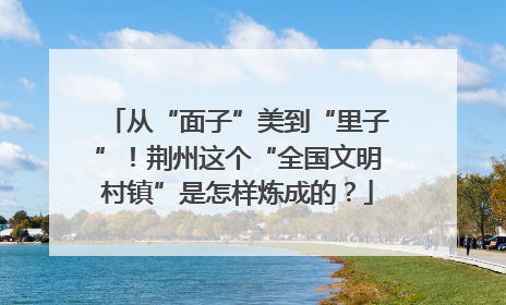 从“面子”美到“里子”！荆州这个“全国文明村镇”是怎样炼成的？