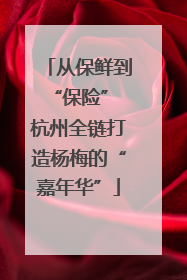 从保鲜到“保险” 杭州全链打造杨梅的“嘉年华”