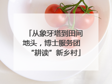 从象牙塔到田间地头，博士服务团“耕读”新乡村