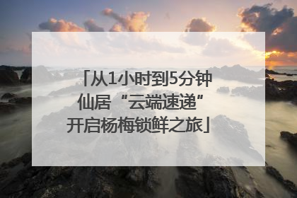 从1小时到5分钟 仙居“云端速递”开启杨梅锁鲜之旅