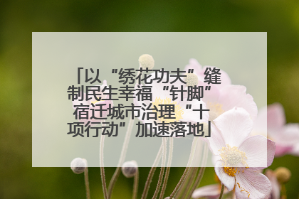 以“绣花功夫”缝制民生幸福“针脚” 宿迁城市治理“十项行动”加速落地
