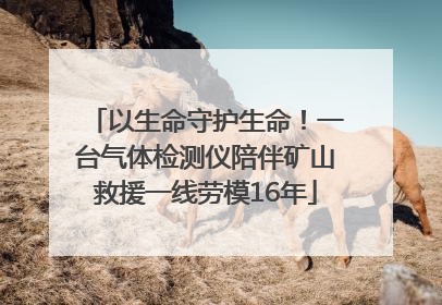 以生命守护生命！一台气体检测仪陪伴矿山救援一线劳模16年