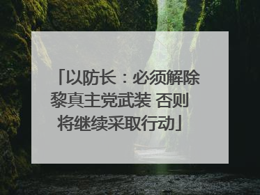 以防长：必须解除黎真主党武装 否则将继续采取行动