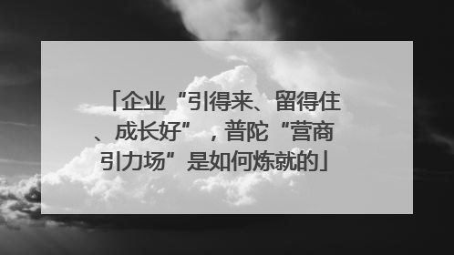 企业“引得来、留得住、成长好”，普陀“营商引力场”是如何炼就的