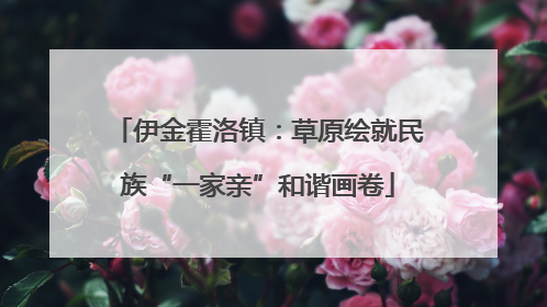伊金霍洛镇：草原绘就民族“一家亲”和谐画卷