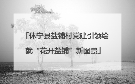休宁县盐铺村党建引领绘就“花开盐铺”新图景