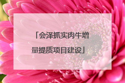 会泽抓实肉牛增量提质项目建设