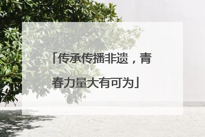 传承传播非遗，青春力量大有可为