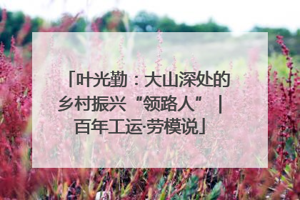 叶光勤：大山深处的乡村振兴“领路人”｜百年工运·劳模说