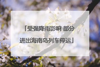 受强降雨影响 部分进出海南岛列车停运