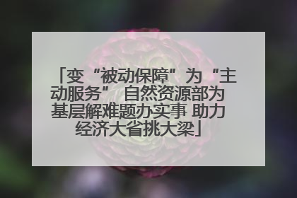 变“被动保障”为“主动服务” 自然资源部为基层解难题办实事 助力经济大省挑大梁