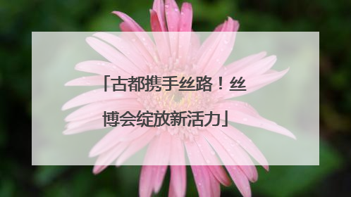 古都携手丝路！丝博会绽放新活力