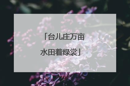 台儿庄万亩水田着绿裳