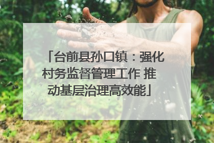 台前县孙口镇：强化村务监督管理工作 推动基层治理高效能