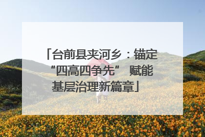 台前县夹河乡：锚定“四高四争先” 赋能基层治理新篇章