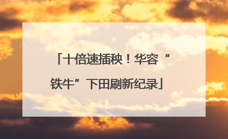 十倍速插秧！华容“铁牛”下田刷新纪录