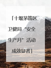 十堰茅箭区卫健局“安全生产月”活动成效显著