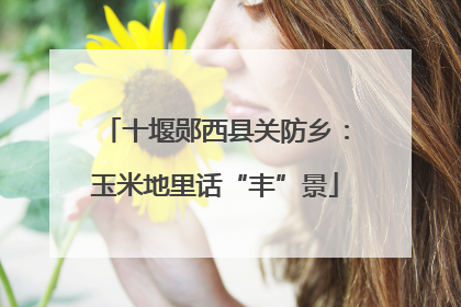 十堰郧西县关防乡：玉米地里话“丰”景