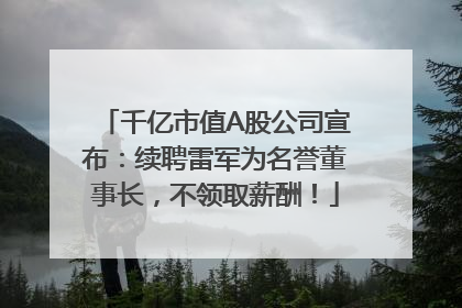 千亿市值A股公司宣布：续聘雷军为名誉董事长，不领取薪酬！