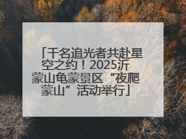 千名追光者共赴星空之约！2025沂蒙山龟蒙景区“夜爬蒙山”活动举行