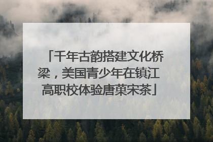 千年古韵搭建文化桥梁，美国青少年在镇江高职校体验唐菓宋茶