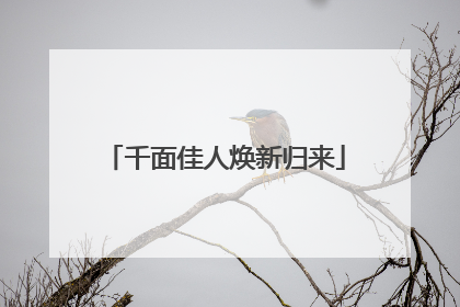 千面佳人焕新归来