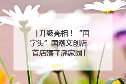 升级亮相！“国字头”国潮文创店首店落子潘家园