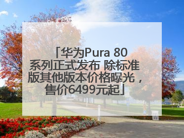 华为Pura 80系列正式发布 除标准版其他版本价格曝光，售价6499元起