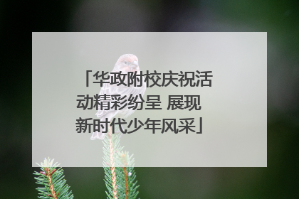 华政附校庆祝活动精彩纷呈 展现新时代少年风采