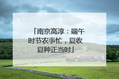 南京高淳：端午时节农事忙，夏收夏种正当时