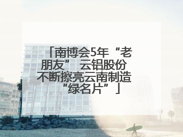 南博会5年“老朋友” 云铝股份不断擦亮云南制造“绿名片”