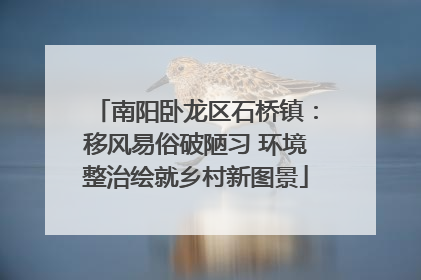 南阳卧龙区石桥镇：移风易俗破陋习 环境整治绘就乡村新图景