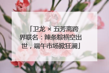 卫龙 × 五芳斋跨界联名：辣条粽横空出世，端午市场掀狂澜