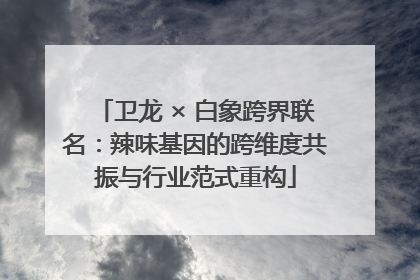 卫龙 × 白象跨界联名：辣味基因的跨维度共振与行业范式重构