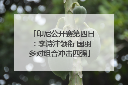 印尼公开赛第四日：李诗沣领衔 国羽多对组合冲击四强