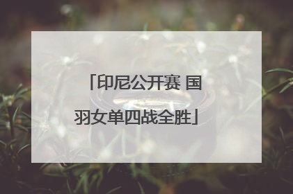印尼公开赛 国羽女单四战全胜