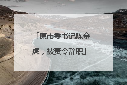 原市委书记陈金虎，被责令辞职